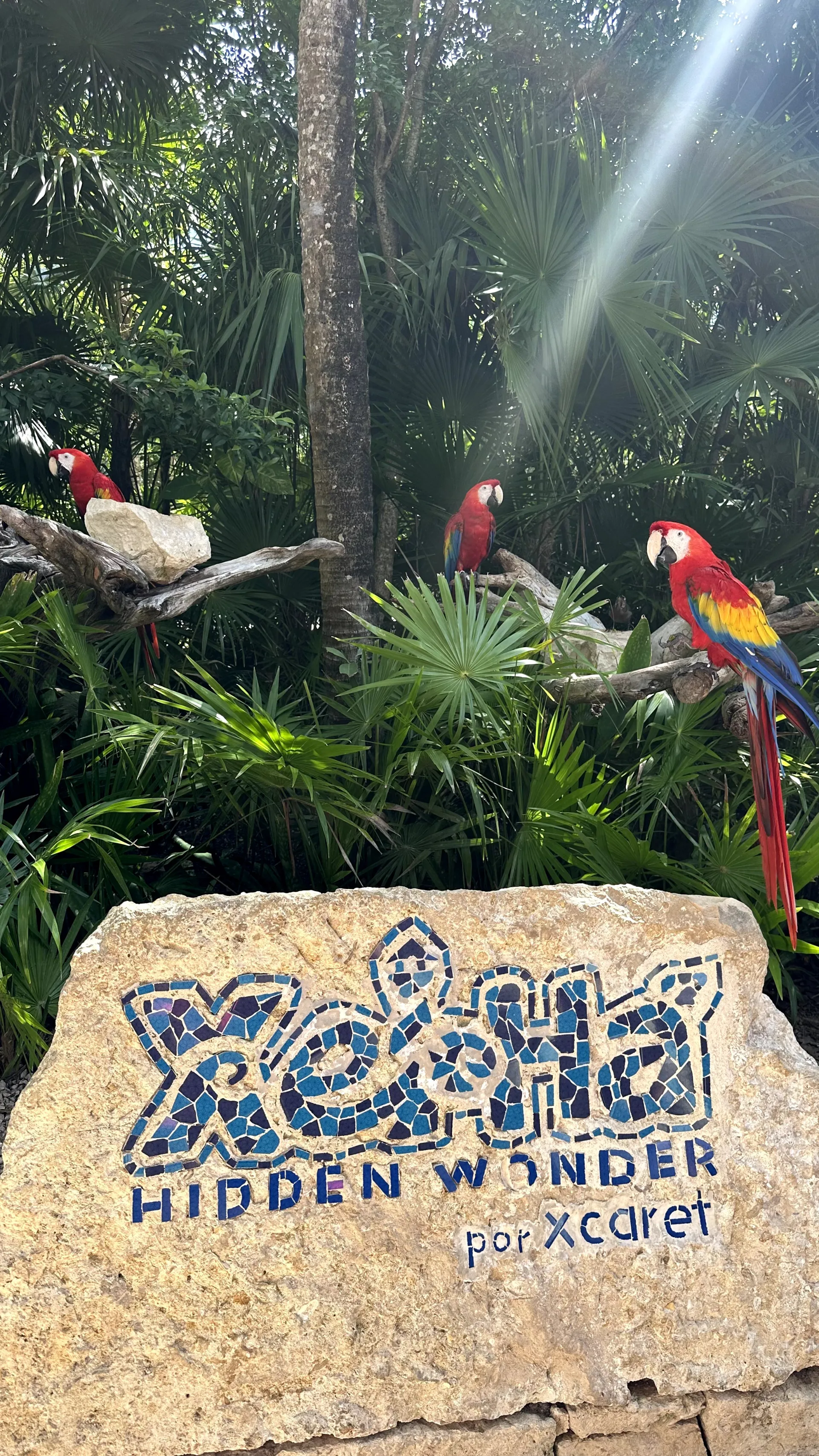 Xcaret o Xel-Há: cuál elegir con niños 2026